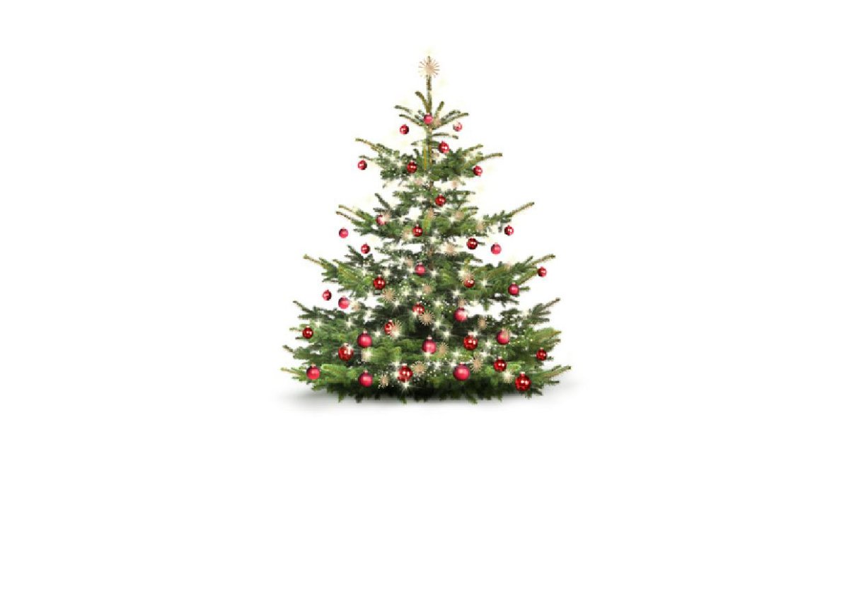 Christbaumausgabe Berwang/Gröben/Tal - Freitag, 15.12.2023, 13:00-14:00 Uhr