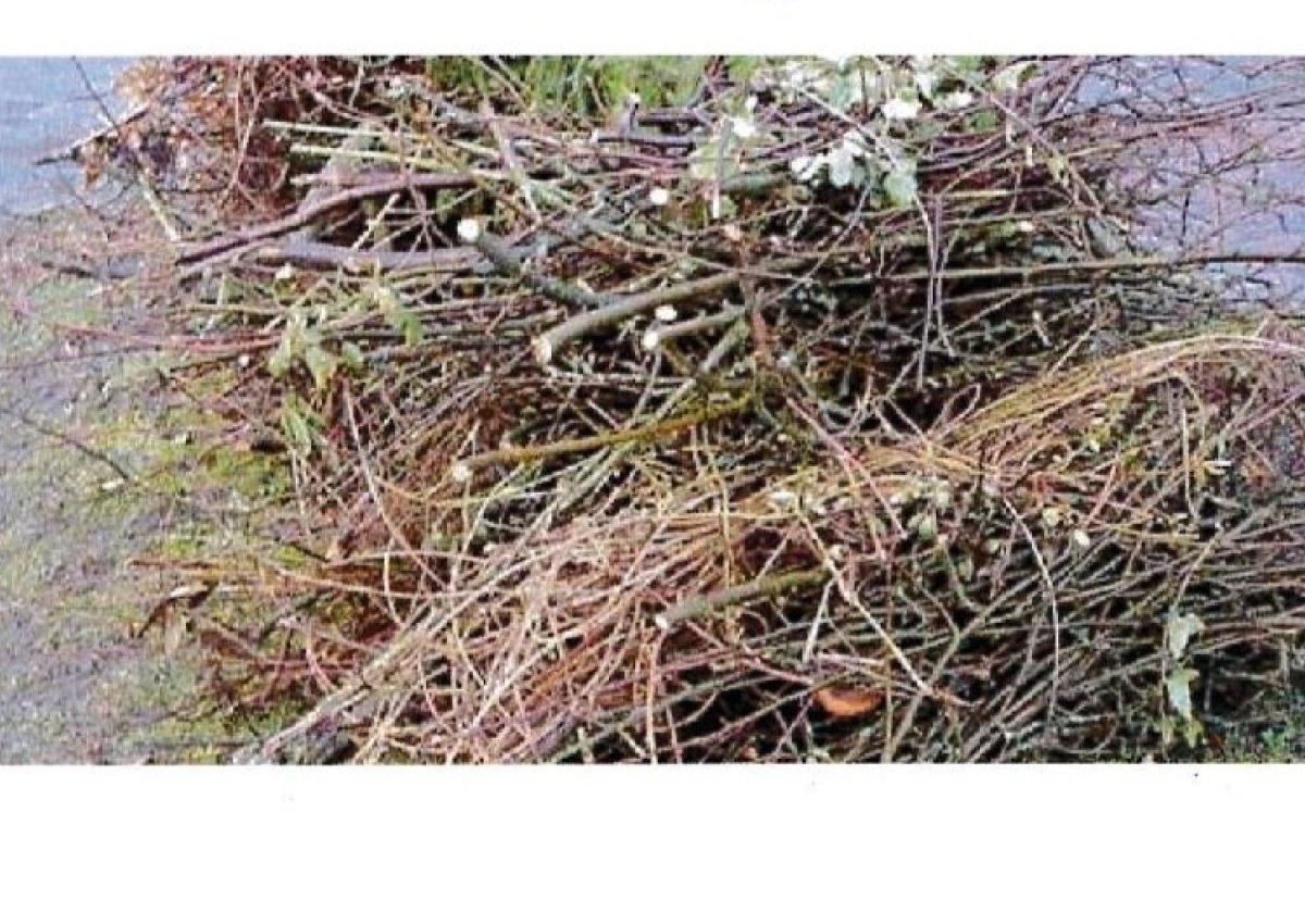 Kiesgrube jeden Freitag von 14:30 bis 16:30 Uhr geöffnet! Kiesgrube jeden Freitag von 14:30 bis 16:30 Uhr geöffnet!